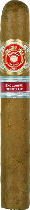 Punch Royal Reg. Ed. Benelux Aged 2009 - Single Cigar