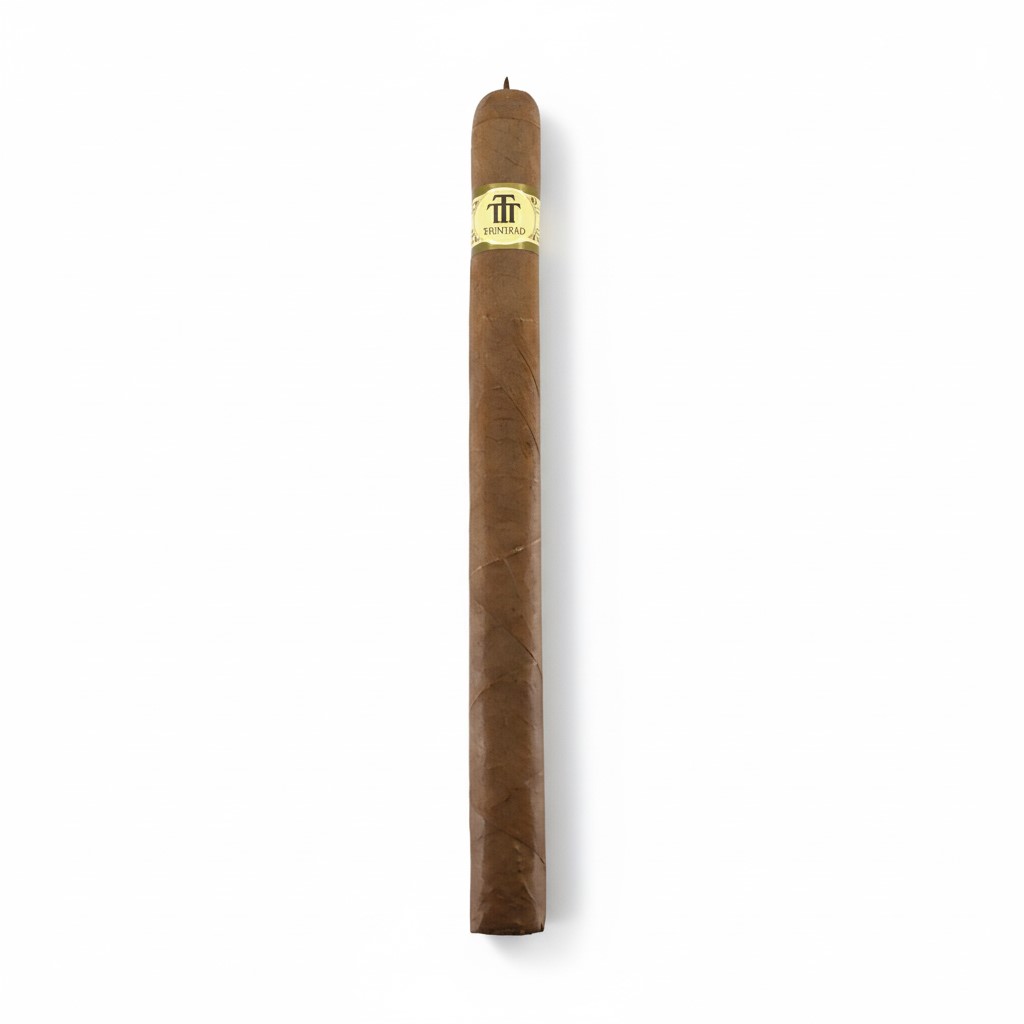 Trinidad Fundadores - Single Cigar